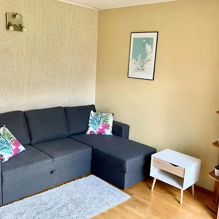 Cozy And Sunny In Historic Pelgulinn Apartament Tallin